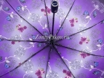 Зонт  женский Lantana, арт.689-3_product